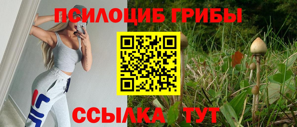 Cocaine  Бошки Шишки  LSD-25  Вход с VPN  ГАШИШ  Гашиш  МЕФ  Меф МЯУ МЯУ   Муравленко  НБОМе  A PVP СОЛЬ  